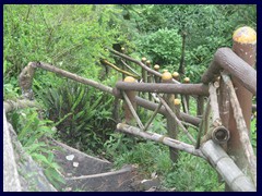 Quetzaltepec 45 -stairway